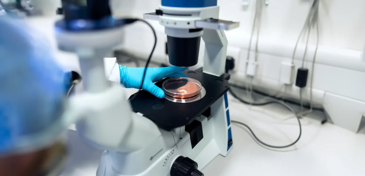 Embryodonatie bij MC Kinderwens